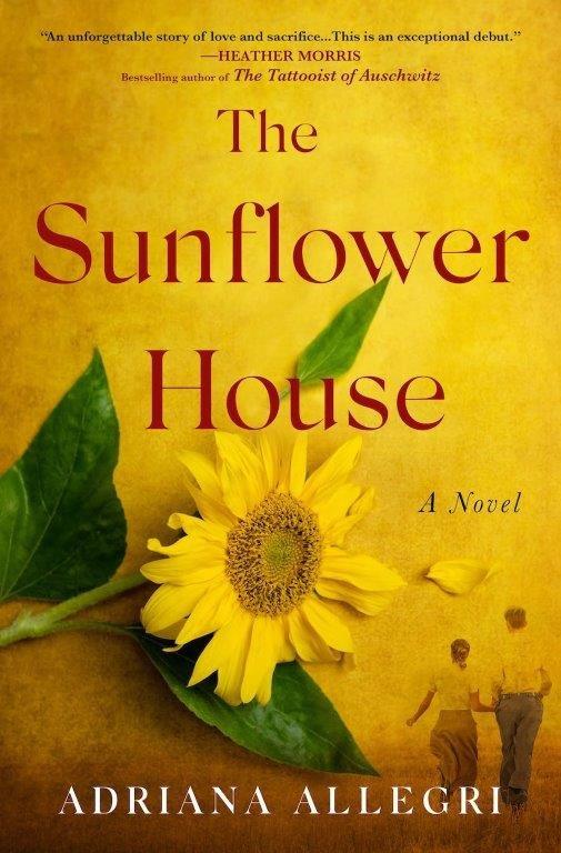 Image of cover